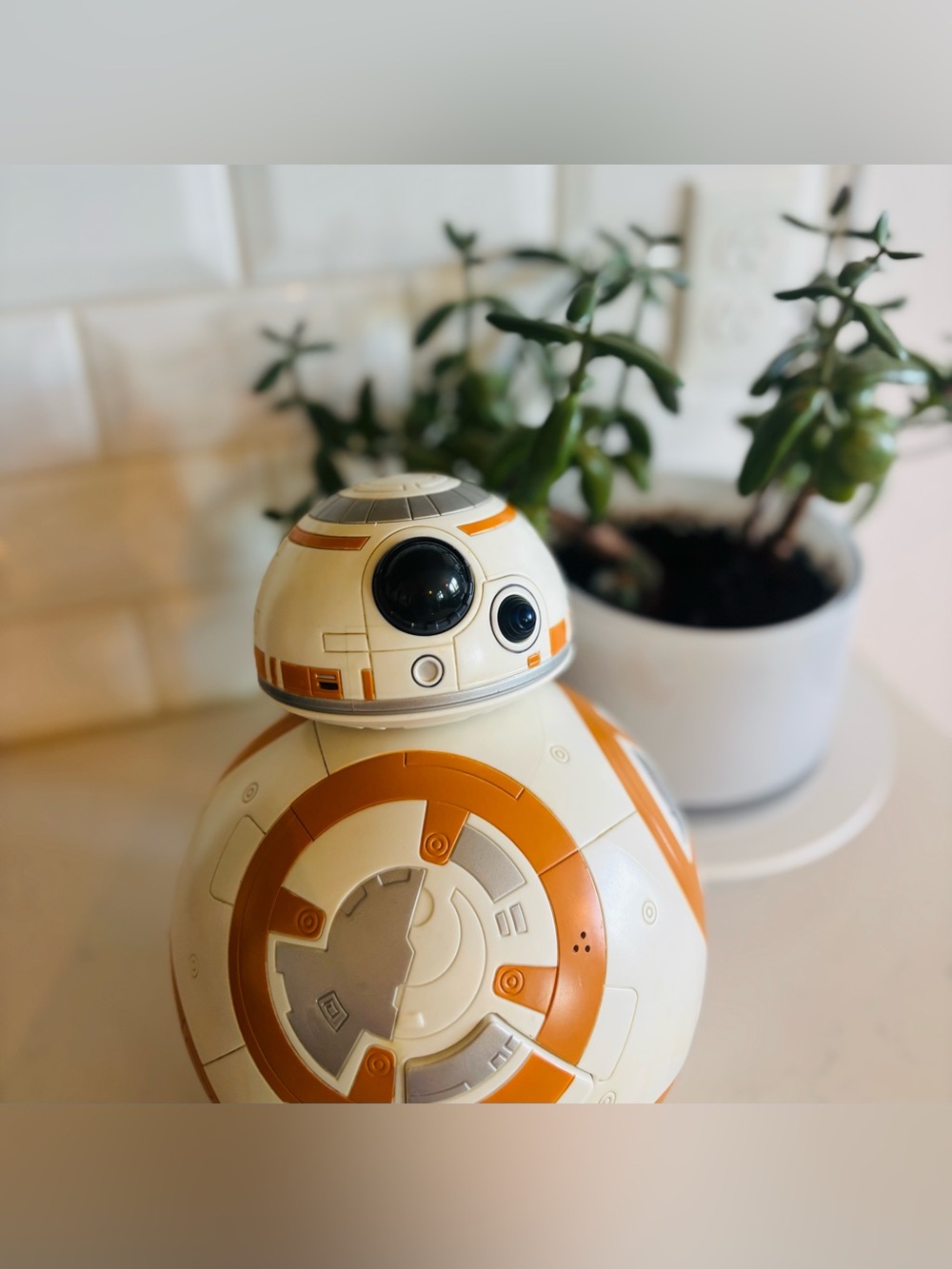 Bb-8 Disneyland Parks  Exclusive Star Wars Moving Talking Sound Activated🖤🧡